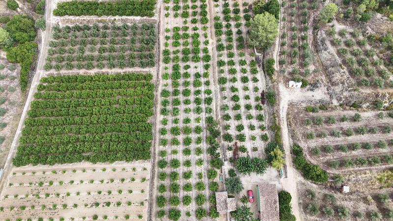 Foto 7bdecc31-8170-4dc8-b6e4-367123a6ac64. Xalet amb aparcament a Benicolet