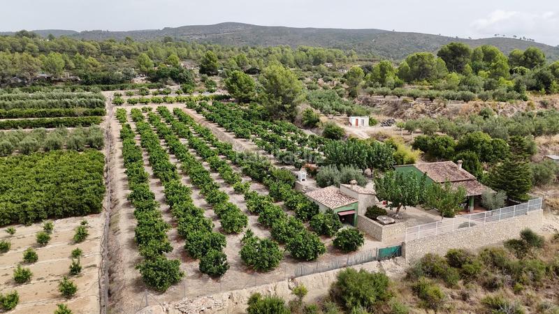 Foto 9e216919-98e1-4bae-8765-237baacaf202. Xalet amb aparcament a Benicolet