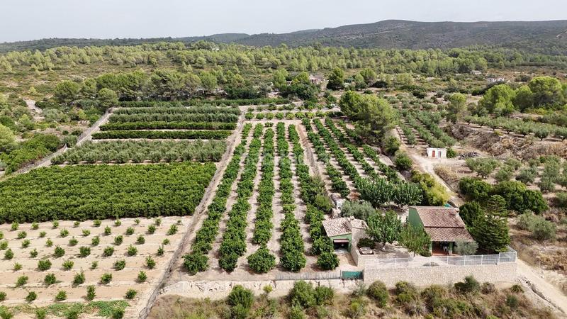 Foto fbcb8449-a578-42fa-a29a-d251fd5fe5d9. Xalet amb aparcament a Benicolet