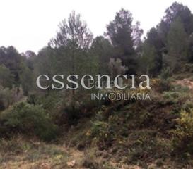 Masia a Oliva Playa. Finca rústica a la venta por 86.500€ de 166.200m² en calle paraj