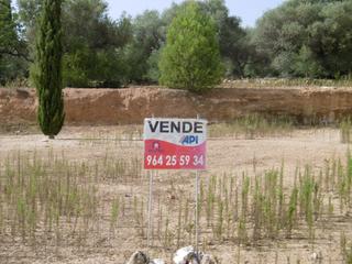Terreny residencial a Vall d´Alba. Solar zona instituto