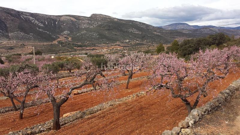 Foto 0fd2e1e3-e5a0-4b29-86ce-d6cc16e63c72. Mas avec parking dans Sierra Engarcerán