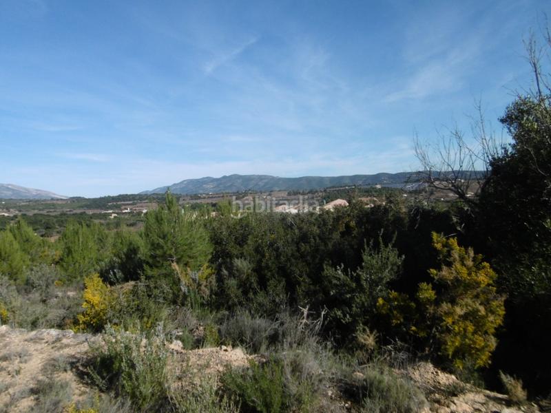 Foto 0ea31e67-0bf7-442f-9869-121b9f9d899a. Mas dans Useres (les)