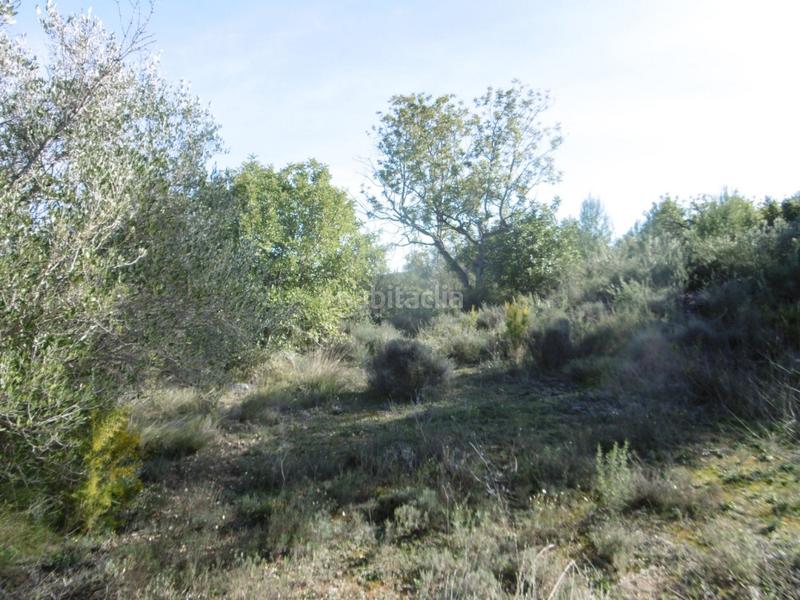 Foto 1195ccb1-77ae-4abc-a74f-2307f1ee0805. Mas dans Useres (les)