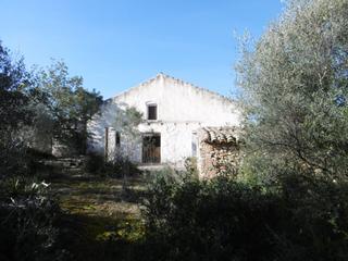 Masia  Partida muñies. Masia con almacenes cen una finca de 10 hectareas
