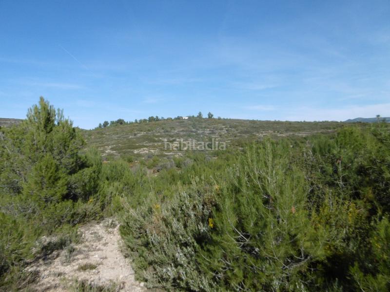 Foto 547ad8bf-d6c7-4c48-9bb7-a2924e7189aa. Mas dans Useres (les)