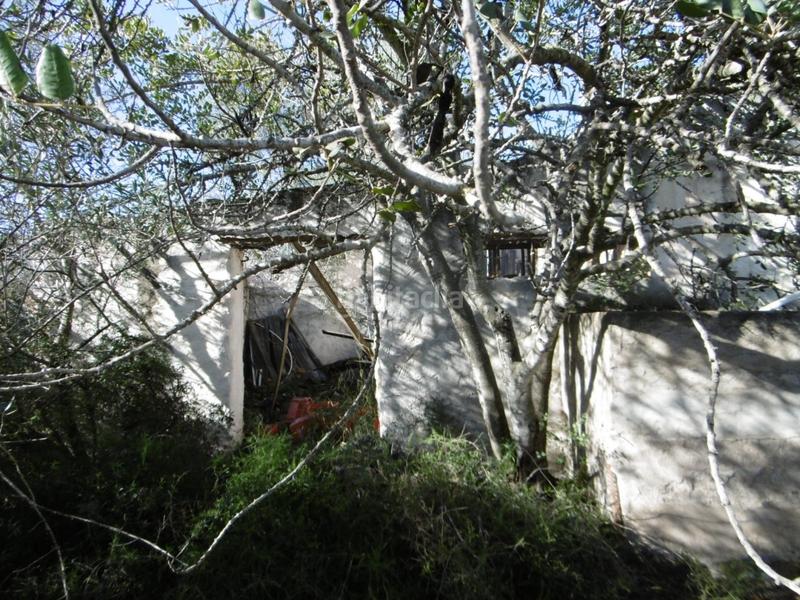 Foto 916c0e8f-9f16-499e-a6fd-d61313d3a80d. Mas dans Useres (les)