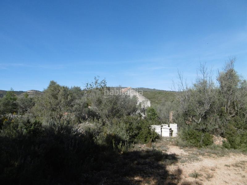 Foto a247447f-4b8d-4626-957f-d2f3a82d3238. Mas dans Useres (les)