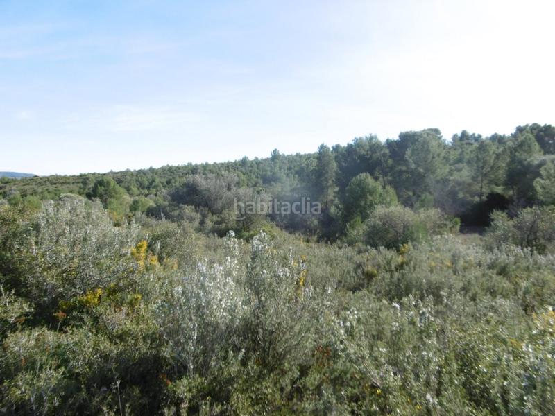 Foto c8865b15-31b6-4220-bfbf-1dc9a3f0c997. Mas dans Useres (les)