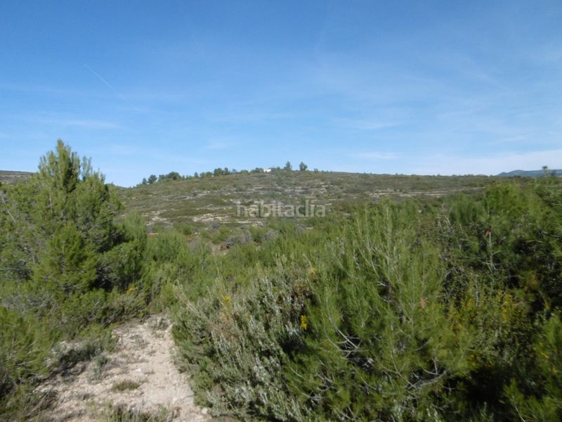 Foto 005eb53e-43a1-4c40-9ec2-7562b297b199. Casale in Useres (les)