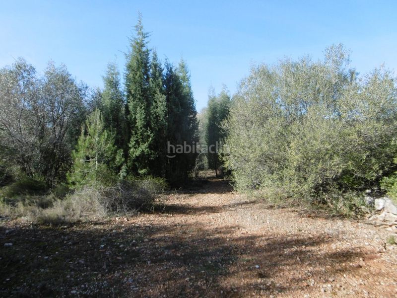 Foto 42e626b0-5285-4cec-a21b-567362cf139a. Casale in Useres (les)