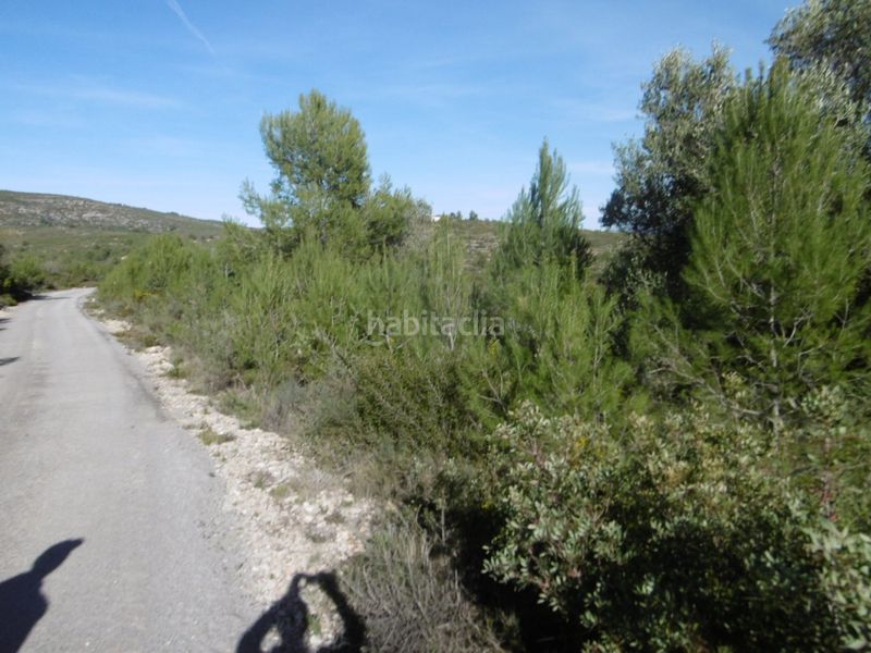 Foto 473f0654-7aee-43fa-adbb-77739691ee50. Casale in Useres (les)