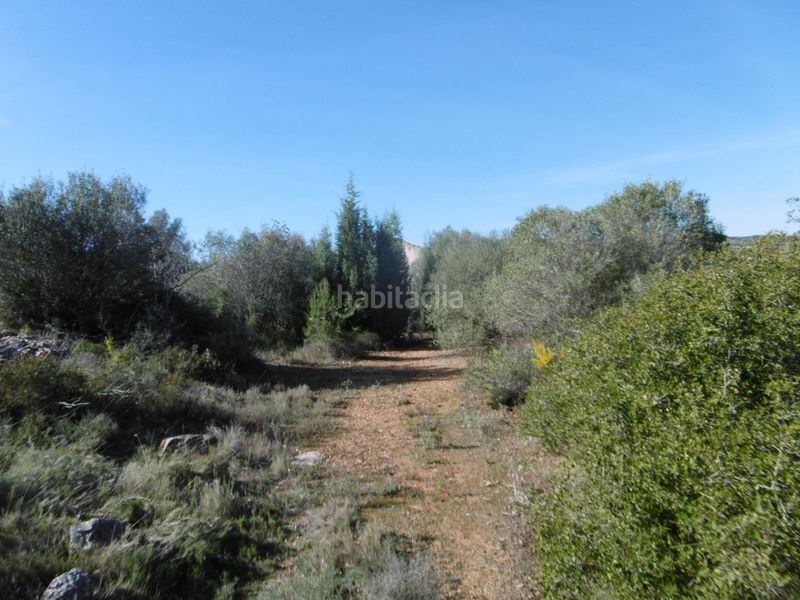 Foto 4c96d121-32f0-4662-8671-6487007f0ed5. Casale in Useres (les)