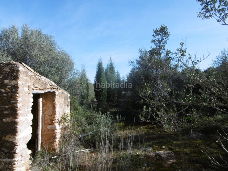 Foto 61d2ed83-9ba0-4326-81de-bf7eb17a1482. Casale in Useres (les)