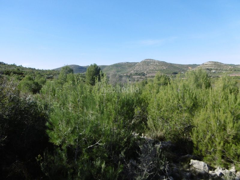 Foto 777aa2aa-0b87-4eac-839e-617afb699535. Casale in Useres (les)