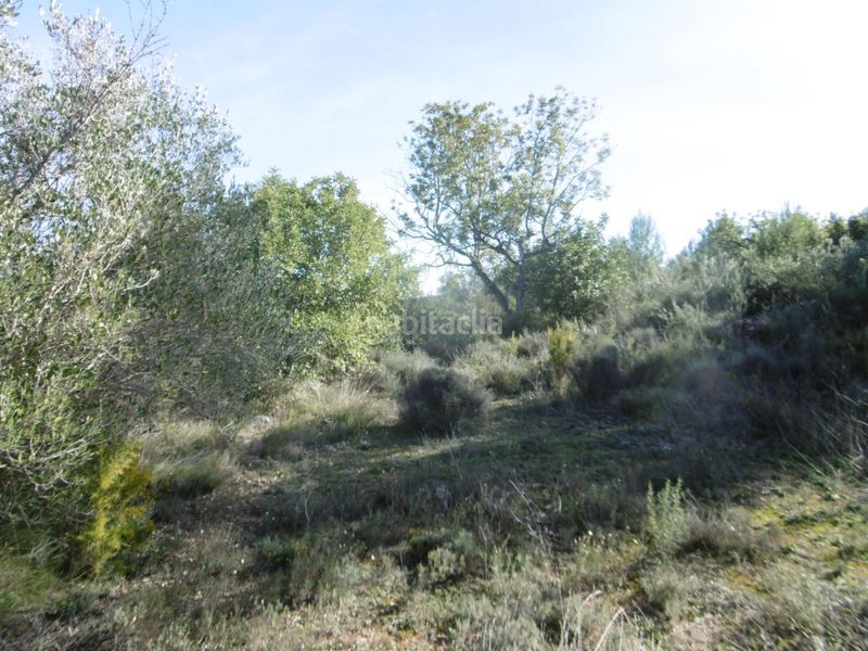 Foto 8eb6e2ea-1d1e-4595-b122-7f3065b22f61. Casale in Useres (les)