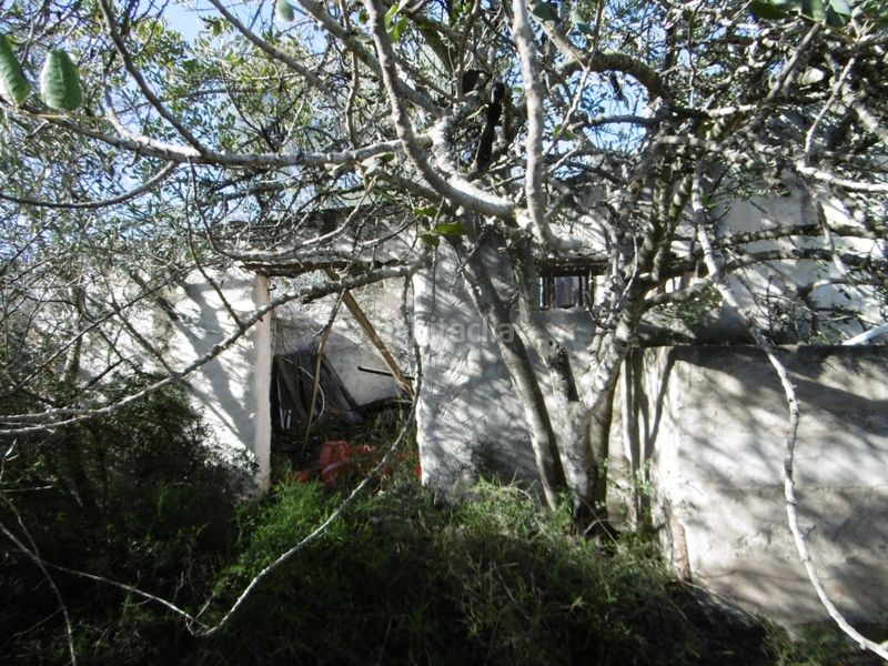 Foto 939393ed-83b9-4900-bba5-b19cb157cdab. Casale in Useres (les)