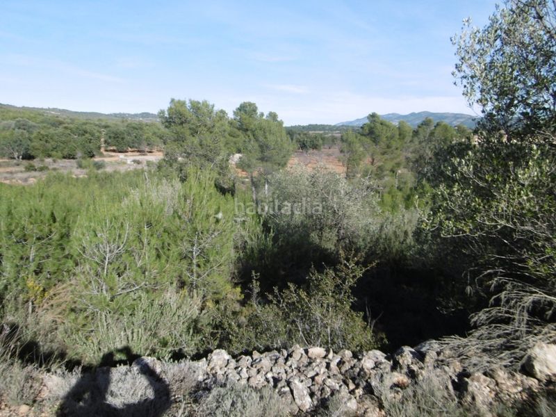 Foto b16cb832-66c5-4d20-ac43-47022b0d25c6. Casale in Useres (les)