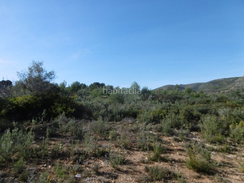 Foto b4f3b4f0-9fd1-4946-afa8-8935d3402d39. Casale in Useres (les)