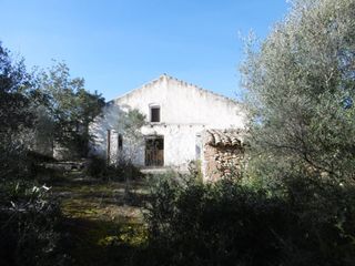 Masia  Partida muñies. Masia para reformar  con almacenes en una finca de 10 hectáreas