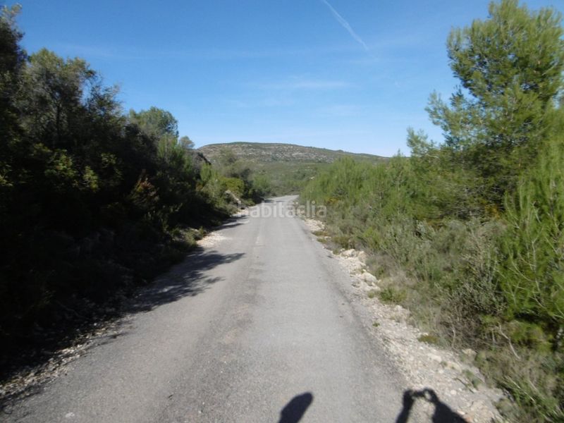 Foto ce20fd07-6f3a-4f60-b83f-8f80a111e5ee. Casale in Useres (les)