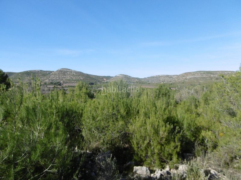 Foto cf1fafd4-1187-4d74-b4aa-847ca82b0c32. Casale in Useres (les)
