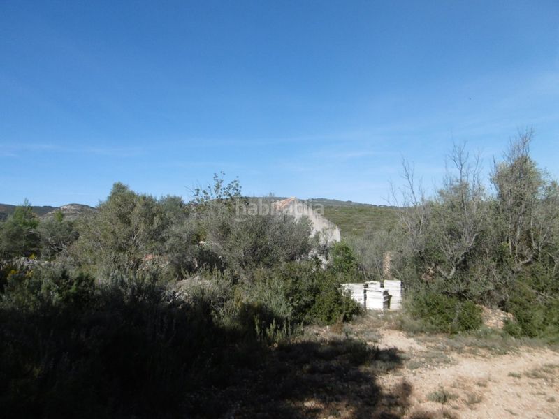 Foto e4daa818-c9c1-42f7-a3f6-7c5c147be6f2. Casale in Useres (les)