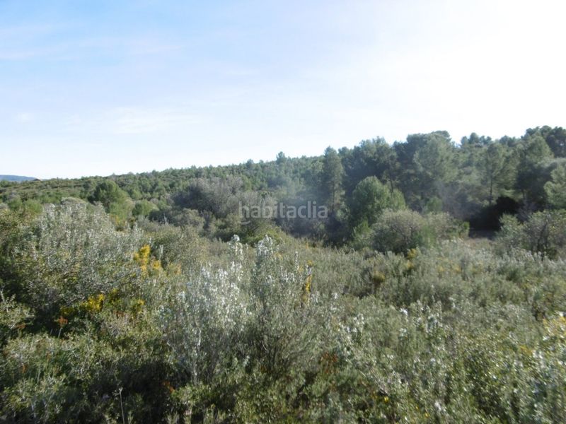 Foto e9319f79-a853-436c-b89b-dbc0a0ab459f. Casale in Useres (les)