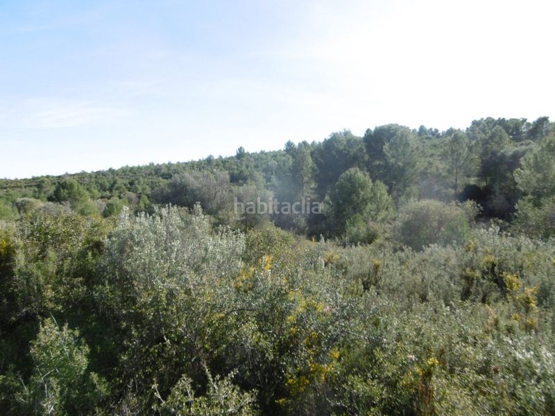 Foto fd67d9a9-4694-4b97-be07-8d835efe917a. Casale in Useres (les)