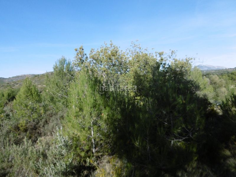 Foto fd8ec12d-690d-4c81-82ab-4c4fbc2e73ab. Casale in Useres (les)