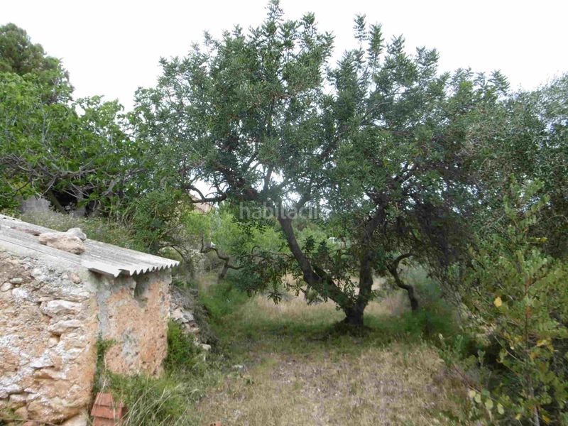 Foto 50a4a9f3-78b2-4c1b-aa23-c810e2e563ae. Masia amb calefacció a Sierra Engarcerán