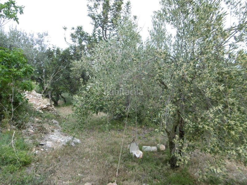 Foto e486aa7d-06dd-4269-9eb7-9fbeaefa0861. Masia a Sierra Engarcerán