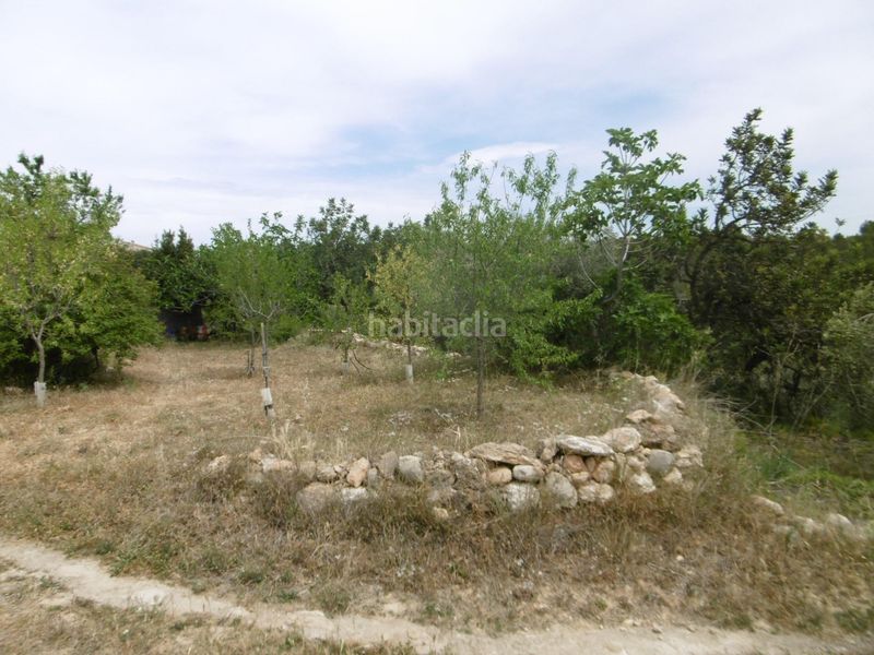 Foto ebf2a03b-6a83-48eb-8aad-f074bc51d114. Masia a Sierra Engarcerán