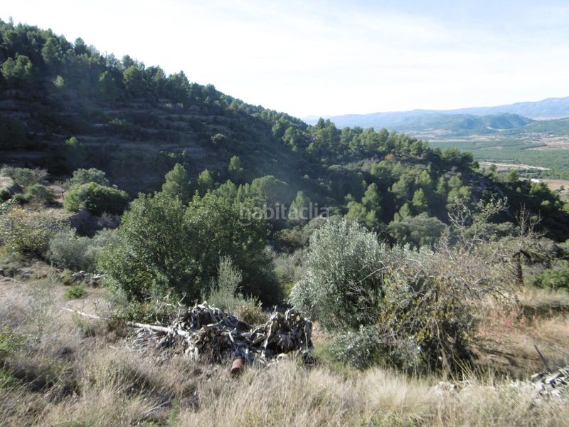 Foto 173234f5-4445-48c4-b6cd-d4081ea331ab. Masia amb aparcament a Sierra Engarcerán