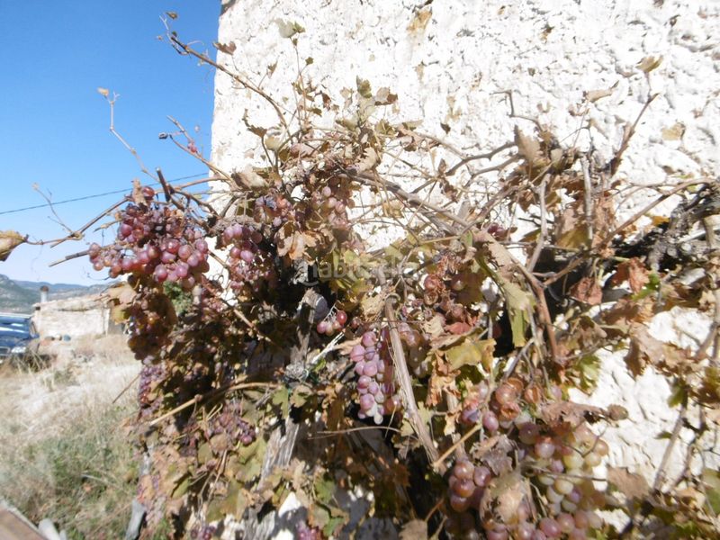 Foto 48ce0ff2-5c5d-48a8-9c03-c8d49c38920d. Masia amb aparcament a Sierra Engarcerán