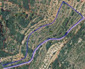 Finca rústica  Polígono 6 parcela 442 mas d'agut. sierra engarce. Venta finca rustica