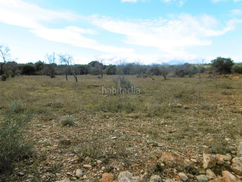 Foto 112f67c8-d694-4b48-a0cd-834b12a64ffd. Finca rústica finca rustica llana en Useres (les)