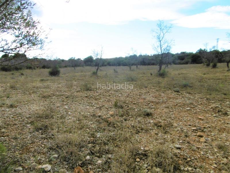 Foto 20420e04-0a8d-4188-9c87-ffd3229ef8cf. Finca rústica finca rustica llana en Useres (les)