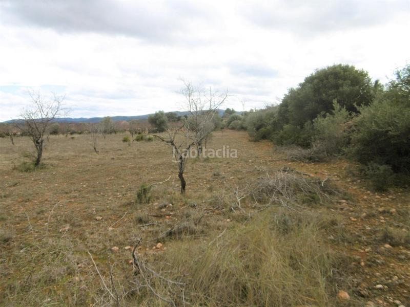 Foto 47888db9-0305-45bb-a3e4-4756f4085083. Finca rústica finca rustica llana en Useres (les)