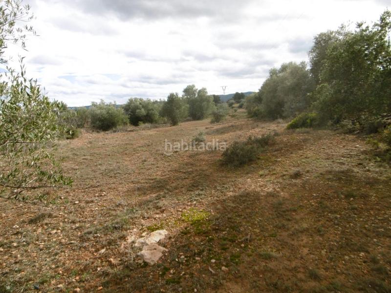 Foto 94792991-8722-4eba-9a10-b69080b10220. Finca rústica finca rustica llana en Useres (les)