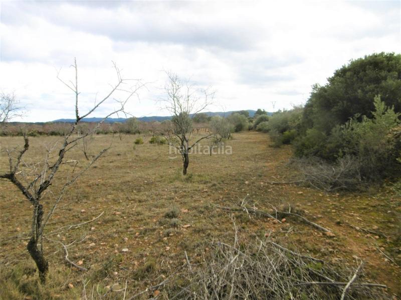 Foto a5379429-78a9-45c9-b4a3-fa90d6894a09. Finca rústica finca rustica llana en Useres (les)