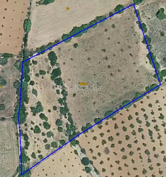 Foto aab01e64-304a-40a8-9498-5f53498a1562. Finca rústica finca rustica llana en Useres (les)