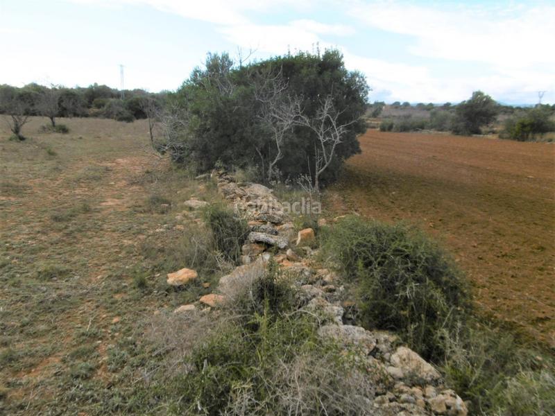 Foto d39c793e-513d-4786-a672-35720092f1b4. Finca rústica finca rustica llana en Useres (les)