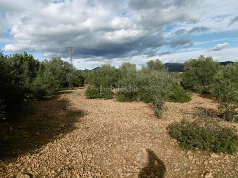 Foto daf61640-948c-4f0d-9a50-b0749f5ab498. Finca rústica finca rustica llana en Useres (les)