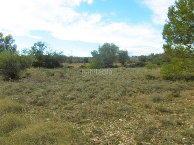 Foto db771ec6-bc67-4fa1-a065-84bf275c3580. Finca rústica finca rustica llana en Useres (les)