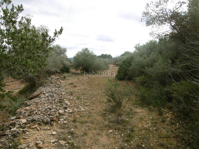 Foto e08db2e9-d115-413f-9f92-0f658eb10327. Finca rústica finca rustica llana en Useres (les)