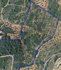 Finca rústica  Polígono 6 parcela 439 mas d'agut. sierra engarce. Finca rustica en venta de 4 hectareas y posibiliad de 7 hectarea