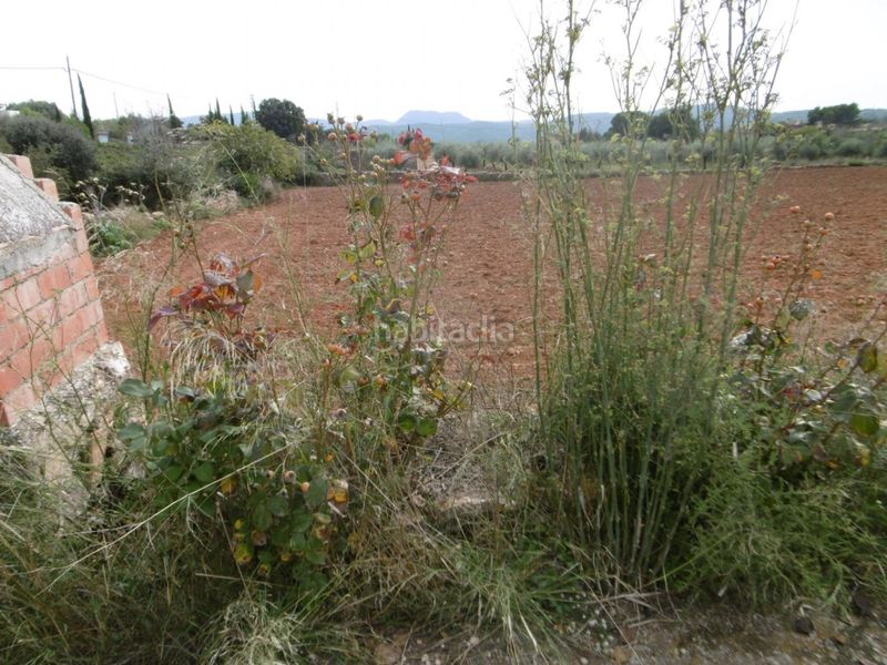 Foto 037ff3a1-4057-41bb-bd59-6ca0164f3715. Masia a Useres (les)