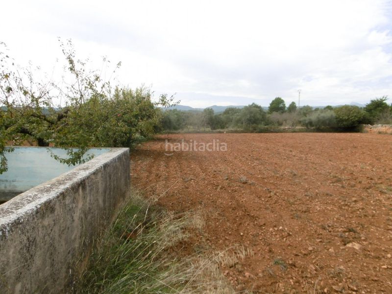 Foto 29f0c70b-a578-48b3-9a21-2b4985a5d4f6. Masia a Useres (les)