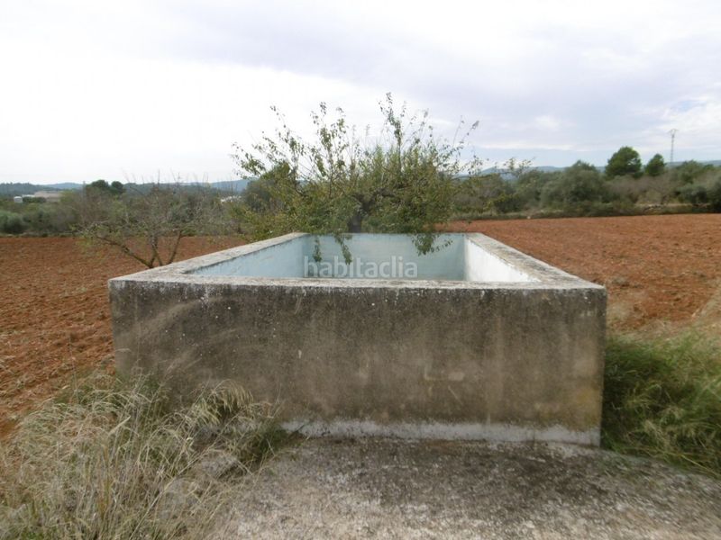 Foto 3f23c0d2-f2d8-4b02-aa7f-3e636aa3de9d. Masia a Useres (les)